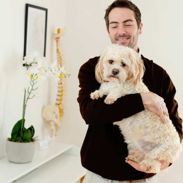 Body Mechanix Harpenden   Harpenden Osteopath | Harpenden Physiotherapy | Harpenden Sports Massage